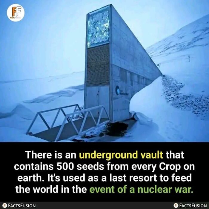 Interesting-Unique-Facts