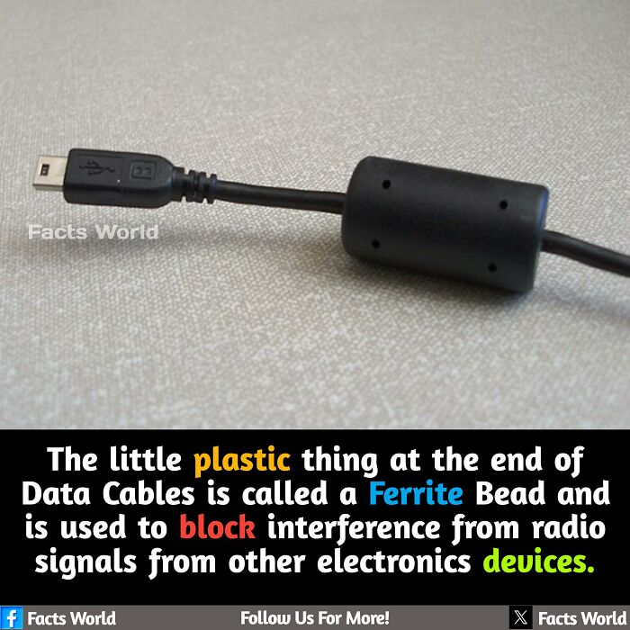 Interesting-Unique-Facts