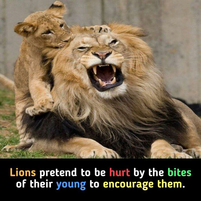 Interesting-Unique-Facts