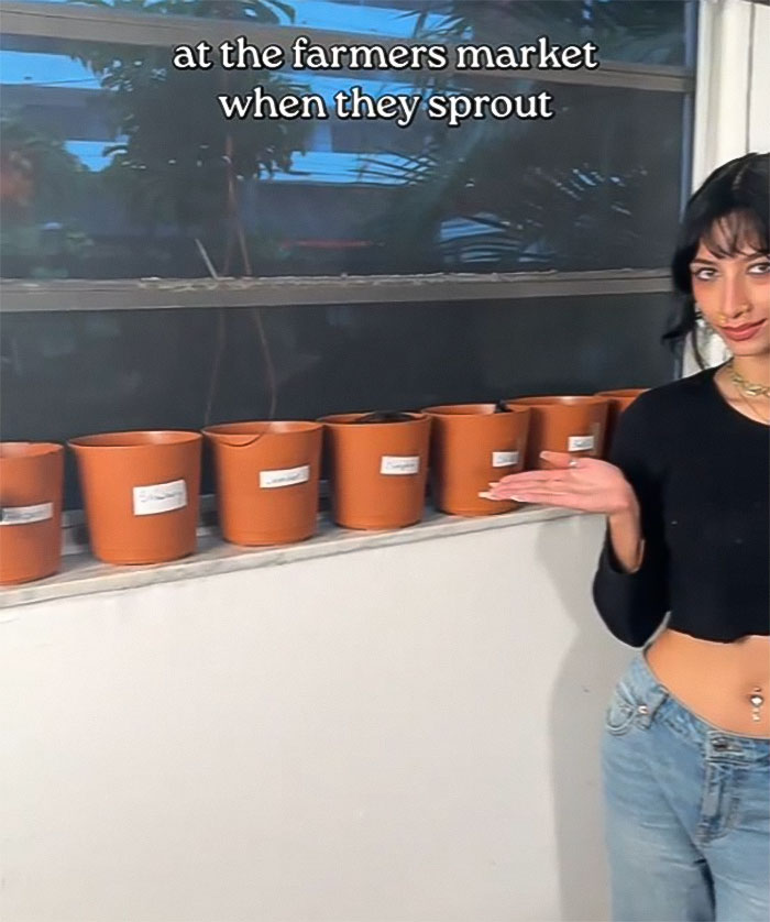 Exclusive: Woman Requires All Her Guests To Use &ldquo;Human Litter Box&rdquo; Next To Her Kitchen