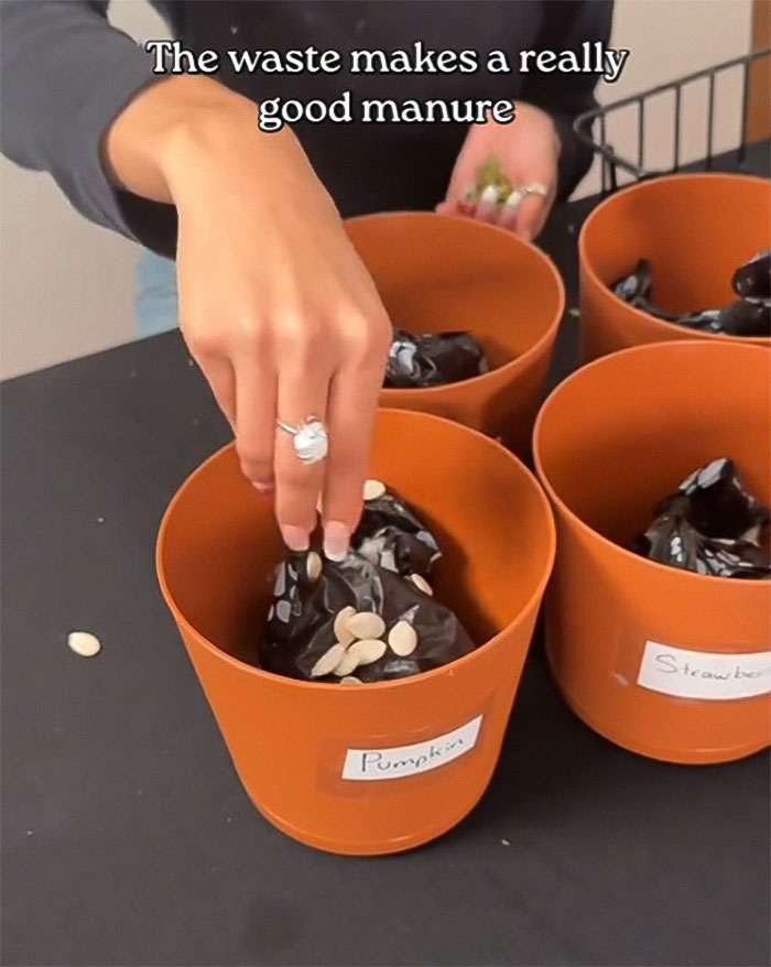 Exclusive: Woman Requires All Her Guests To Use &ldquo;Human Litter Box&rdquo; Next To Her Kitchen