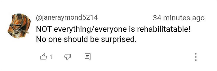 Josie, 13-Month-Old Therapy Dog, Is “Viciously” Attacked While Greeting Inmate Josie, 13-Month-Old Therapy Dog, Is “Viciously” Attacked While Greeting Inmate