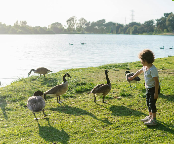 Woman Is Stunned When A Random Person Teaches Her Child A Lesson About Hurting Animals Woman Is Stunned When A Random Person Teaches Her Child A Lesson About Hurting Animals