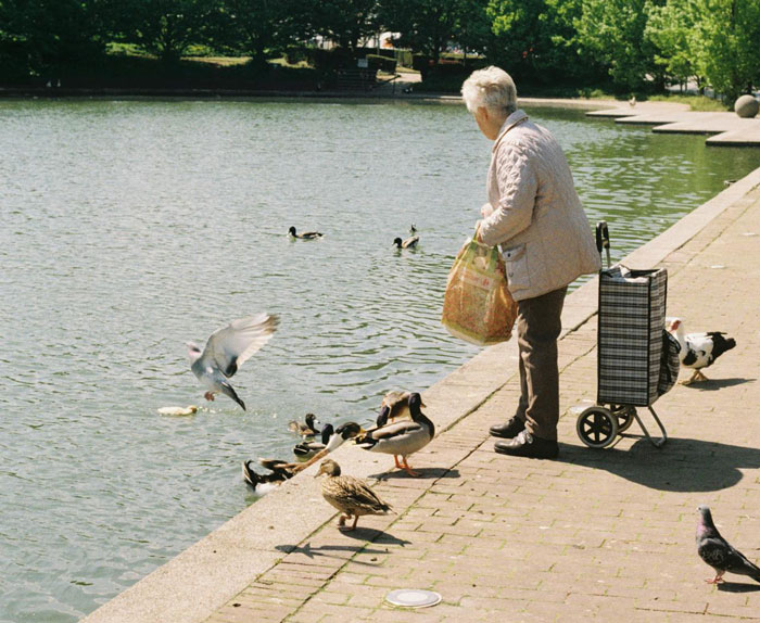 Woman Is Stunned When A Random Person Teaches Her Child A Lesson About Hurting Animals Woman Is Stunned When A Random Person Teaches Her Child A Lesson About Hurting Animals