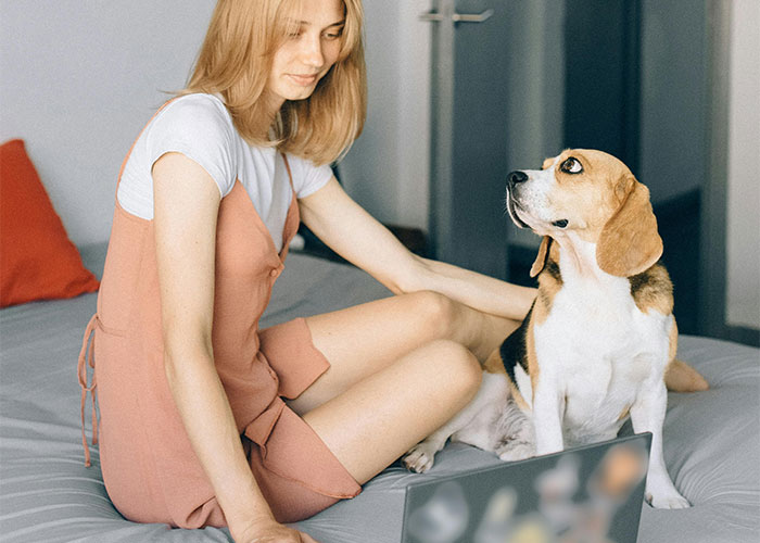 &ldquo;My Dog Was Simply Sitting&rdquo;: Worker Maliciously Complies With No-Dogs Home Office Policy