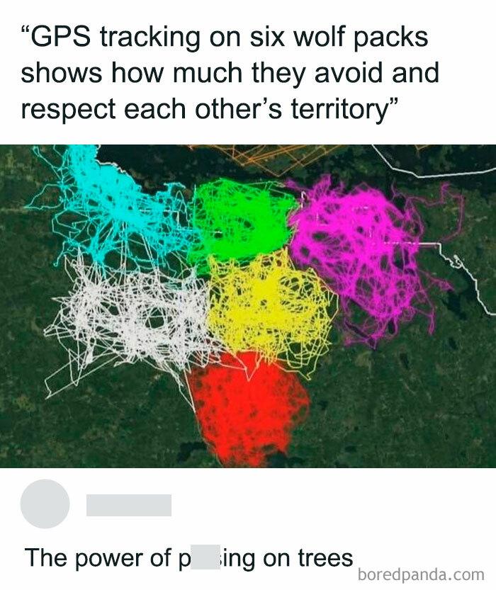 Maps-Data-Visualizations-Pics