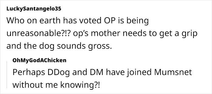 Woman&rsquo;s Mother Insists On Ludicrous Requirements For Untrained Dog, She Takes To The Web To Vent