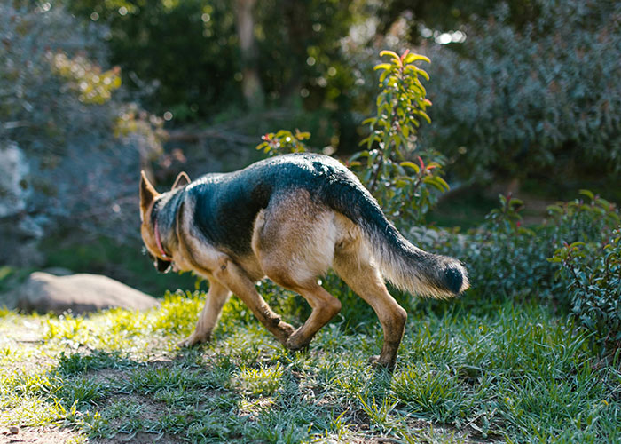 “Brutal And Absolutely Brilliant”: Man’s Petty Revenge On Jerk Neighbor Leaves Her Gagging Twice “Brutal And Absolutely Brilliant”: Man’s Petty Revenge On Jerk Neighbor Leaves Her Gagging Twice