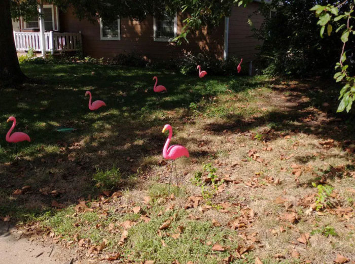 &ldquo;Gave The City Official A Good Laugh&rdquo;: Couple Finds Loophole In Rules To Get Back At Neighbors