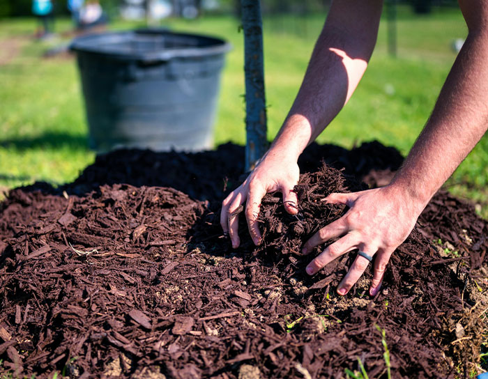 "Diamonds": 35 Old Trends That Many People Don't Realize Are Harmful