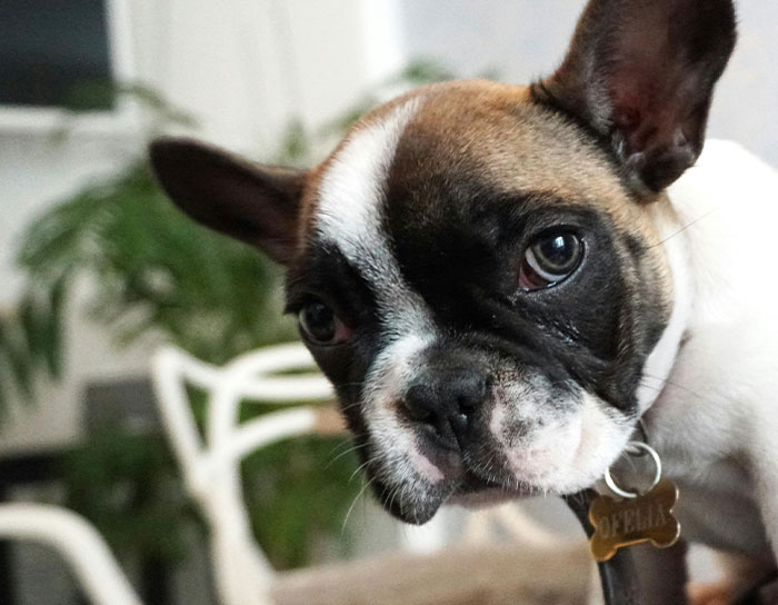 "Diamonds": 35 Old Trends That Many People Don't Realize Are Harmful