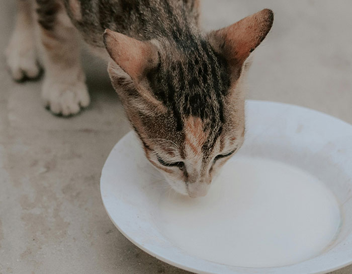 "Diamonds": 35 Old Trends That Many People Don't Realize Are Harmful