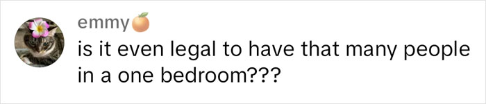 &ldquo;Insanity At Its Finest&rdquo;: Parents Dragged Online For Making Babies They Can&rsquo;t Afford