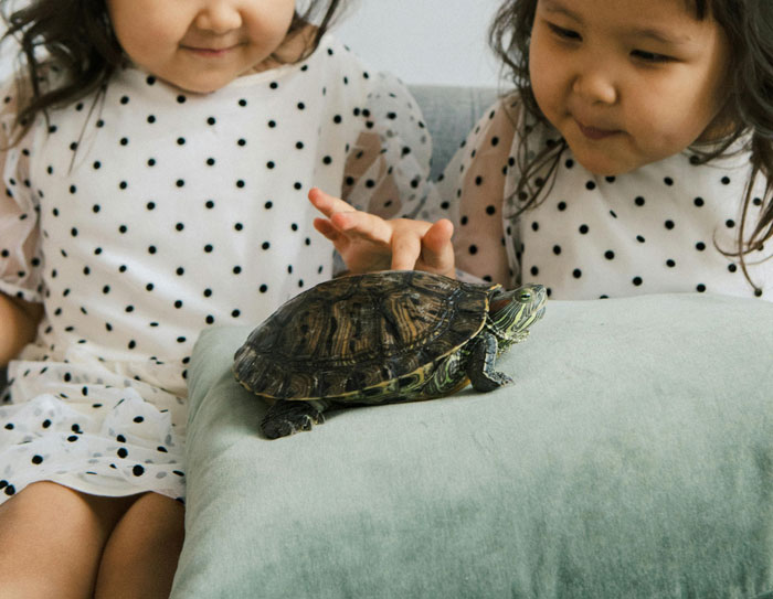 HOA Has The Gall To Ask For A $50 Registration Fee From Pet Owners, Outraged Folks Mock Them