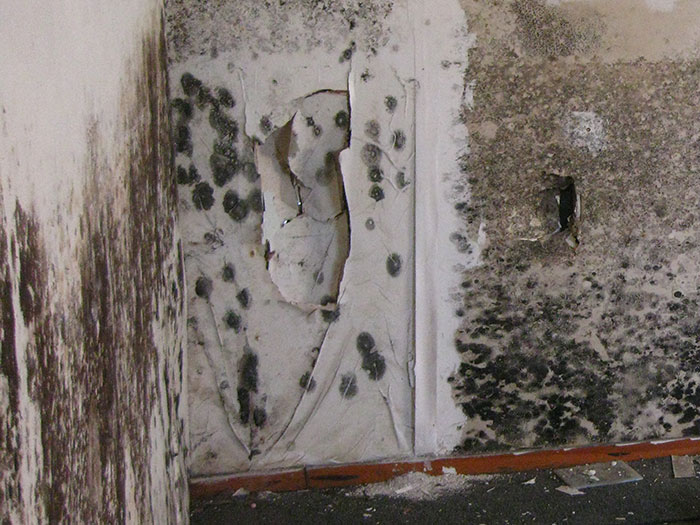 “People Who Are No Longer Bound By NDAs, What Are Some Secrets That You Can Expose?” (30 Answers)