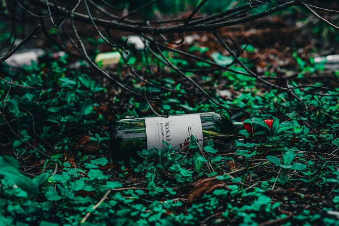 “She Then Called The Secret Service”: 30 Of The Worst Neighbor Experiences People Have Ever Had