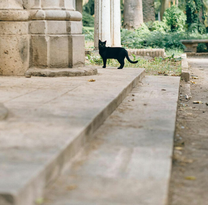 “She Then Called The Secret Service”: 30 Of The Worst Neighbor Experiences People Have Ever Had