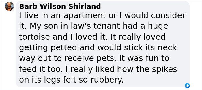 This Woman Has Become True Besties With A Sonoran Desert Tortoise She Recently Adopted