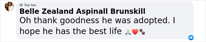 Meet Spinach - One-Eyed Dog Who Refused To Give Up And Finally Was Adopted By A Loving Family