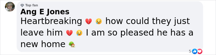 Meet Spinach - One-Eyed Dog Who Refused To Give Up And Finally Was Adopted By A Loving Family