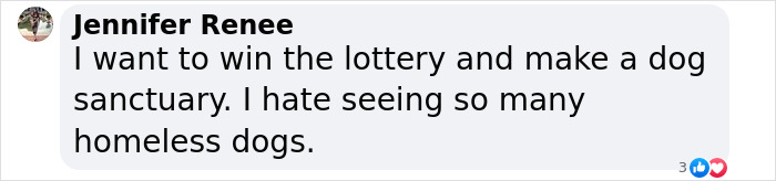 Meet Spinach - One-Eyed Dog Who Refused To Give Up And Finally Was Adopted By A Loving Family