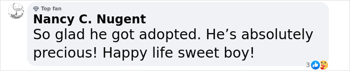 Meet Spinach - One-Eyed Dog Who Refused To Give Up And Finally Was Adopted By A Loving Family