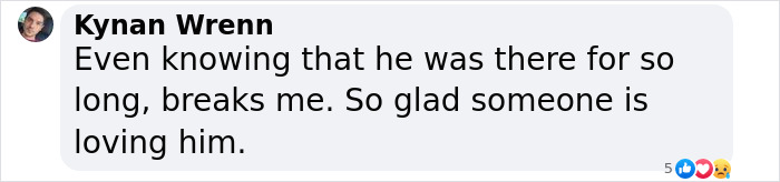 Meet Spinach - One-Eyed Dog Who Refused To Give Up And Finally Was Adopted By A Loving Family