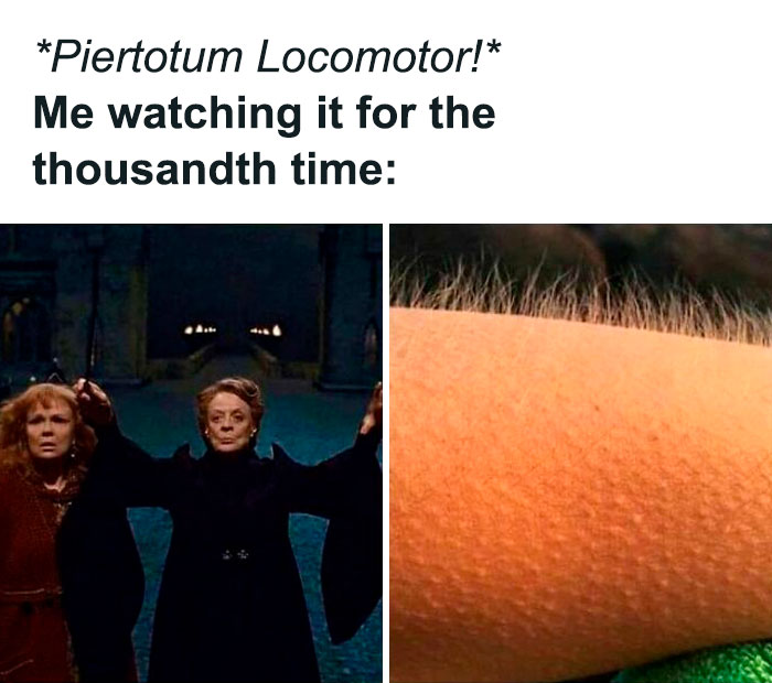 Professor casting spell; fan watches Harry Potter with goosebumps.
