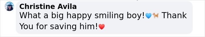 Neighbors Teamed Up To Save A Giant, Abandoned Dog And Then Gave Him A Stunning Makeover Neighbors Teamed Up To Save A Giant, Abandoned Dog And Then Gave Him A Stunning Makeover