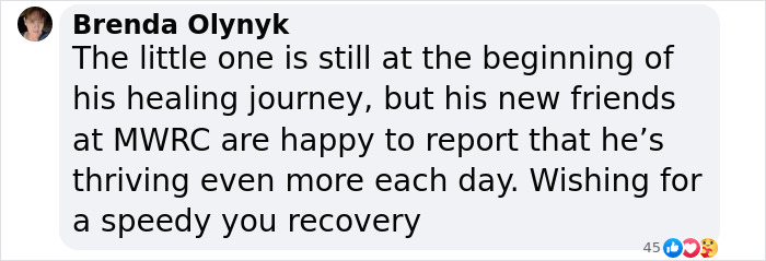 Little Squirrel Jumps Into Foam, Luckily Construction Worker Finds It Before It Turns To Concrete