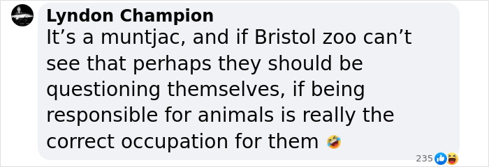 "Is It A Unicorn?": Zoo Officials Stumped By "Mysterious Winged And Horned Creature" Caught On Camera