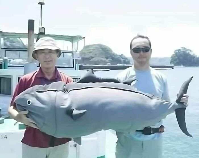 50 Pics That Are So Ridiculously Random, You Can’t Help But Laugh