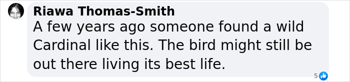 "Woke" And "Nonbinary" Half Male, Half Female Lobster Goes Viral Online