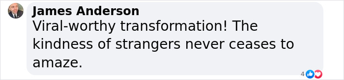 Terribly Neglected Dog Gets Rescued, Reveals His Full Beauty When He Heals And Grows Back His Fur