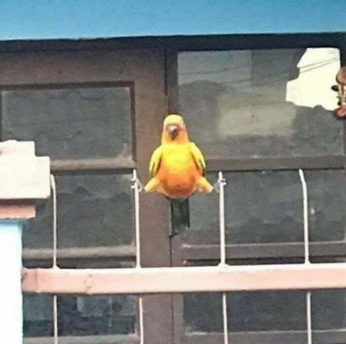 50 Pics That Are So Ridiculously Random, You Can’t Help But Laugh