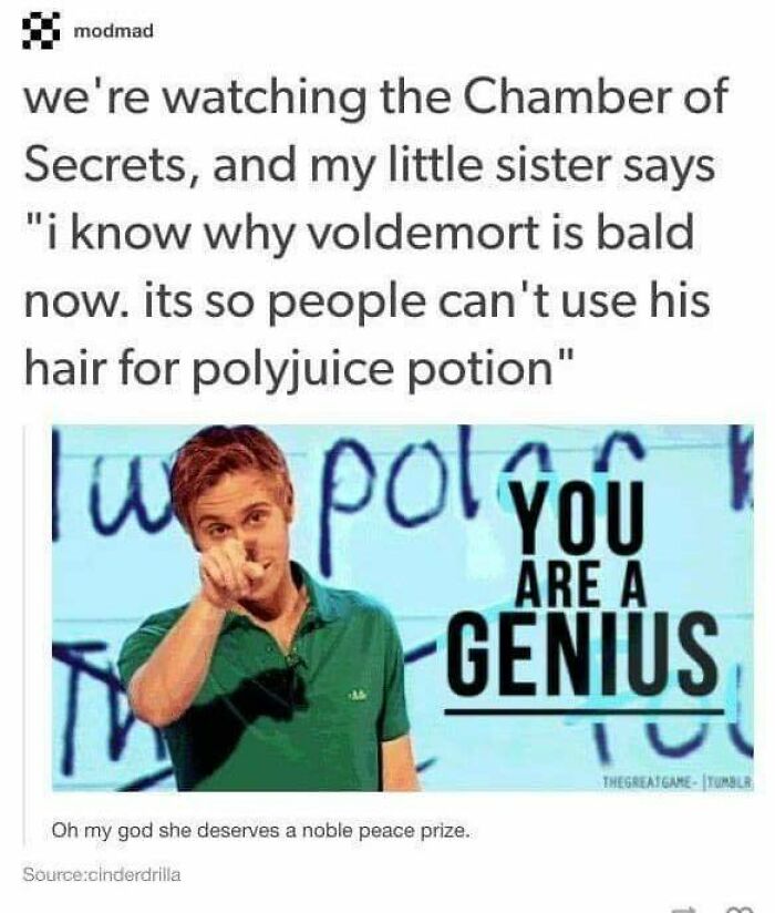 Funny Harry Potter meme with a joke about Voldemort being bald to prevent Polyjuice Potion use.