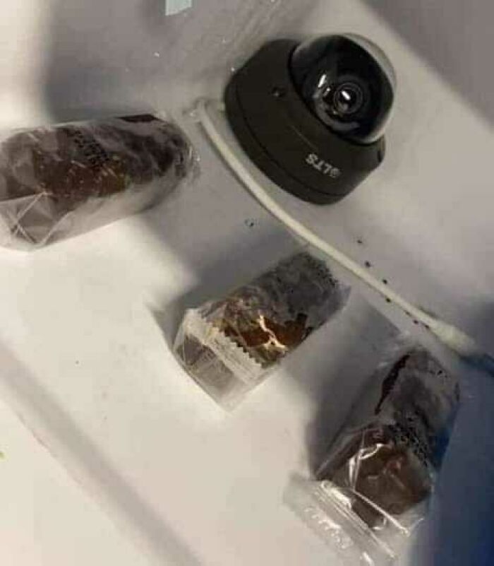 Random-Funny-No-Context-Pics