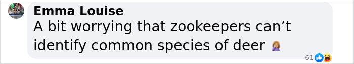 "Is It A Unicorn?": Zoo Officials Stumped By "Mysterious Winged And Horned Creature" Caught On Camera