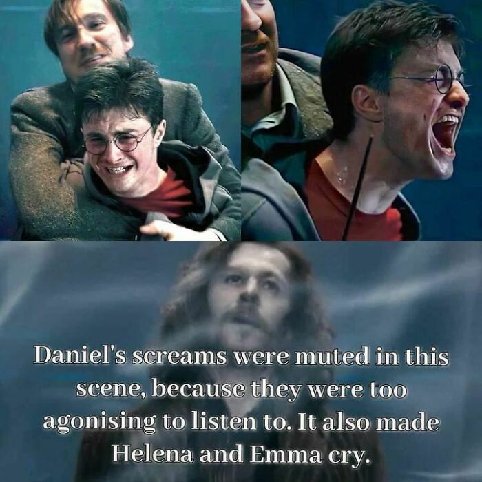 Harry Potter meme with emotional scene, showing crying character and text about muted screams.