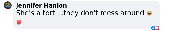 Reporter Arrives To Check Hurricane's Damage And Is Met By Fluffy Survivor Reporter Arrives To Check Hurricane's Damage And Is Met By Fluffy Survivor