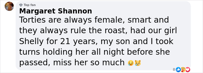 Reporter Arrives To Check Hurricane's Damage And Is Met By Fluffy Survivor Reporter Arrives To Check Hurricane's Damage And Is Met By Fluffy Survivor