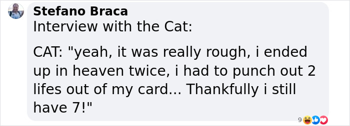 Reporter Arrives To Check Hurricane's Damage And Is Met By Fluffy Survivor Reporter Arrives To Check Hurricane's Damage And Is Met By Fluffy Survivor
