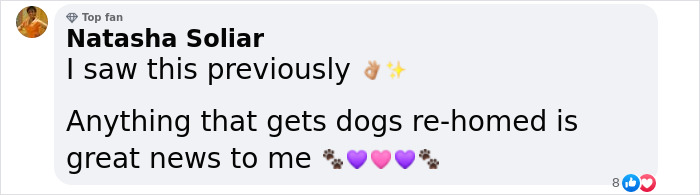 Abandoned Dogs Find Home After Football Team’s Awareness-Raising Action Before The Match Abandoned Dogs Find Home After Football Team’s Awareness-Raising Action Before The Match