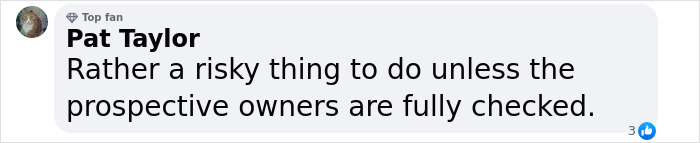 Abandoned Dogs Find Home After Football Team’s Awareness-Raising Action Before The Match Abandoned Dogs Find Home After Football Team’s Awareness-Raising Action Before The Match