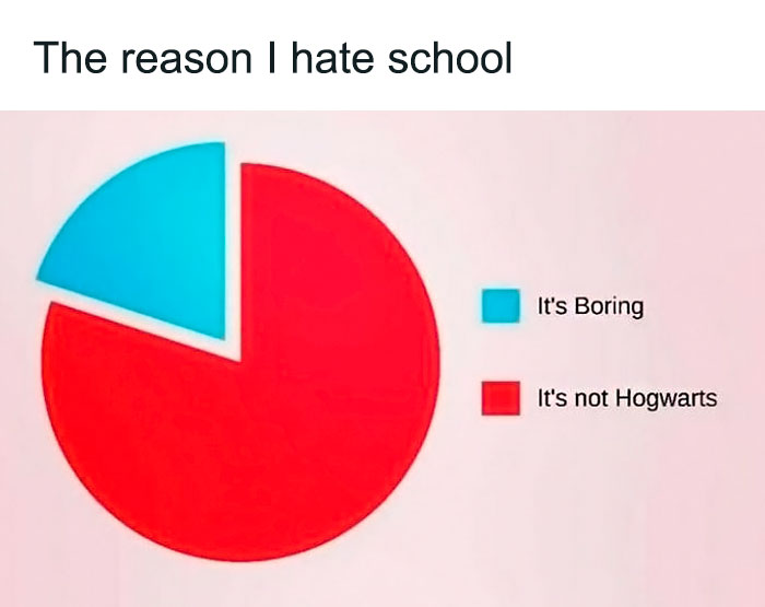 Pie chart meme with most reasons being "It's not Hogwarts." Harry Potter humor about school dislike.