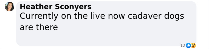 &ldquo;There&rsquo;s Obviously A Body&rdquo;: Woman Discovers Rug In Her Yard, Suspects It May Have Human Remains