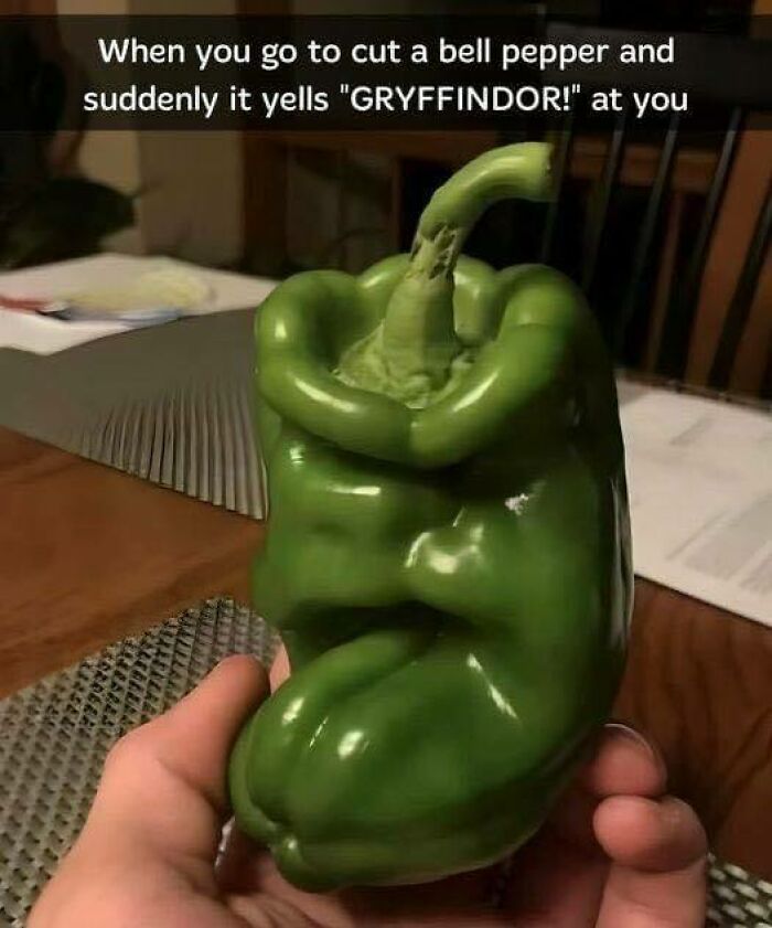Funny meme with a green bell pepper resembling a face, captioned with a Harry Potter Gryffindor sorting reference.