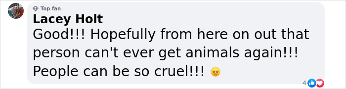 &ldquo;Justice Prevails&rdquo;: Man Who Tied Dog During Hurricane Milton Charged After Trying To Reclaim Pet