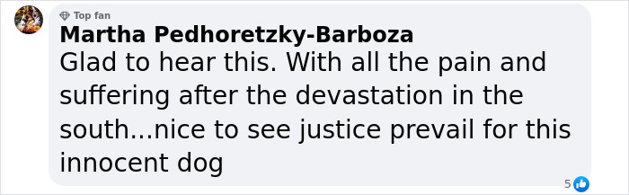 &ldquo;Justice Prevails&rdquo;: Man Who Tied Dog During Hurricane Milton Charged After Trying To Reclaim Pet
