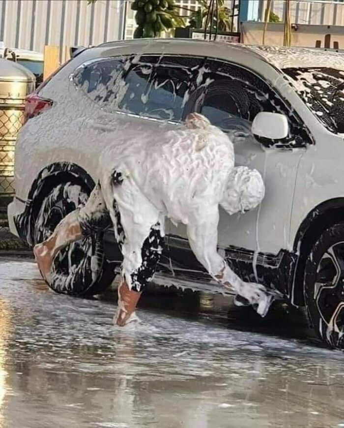 Random-Funny-No-Context-Pics